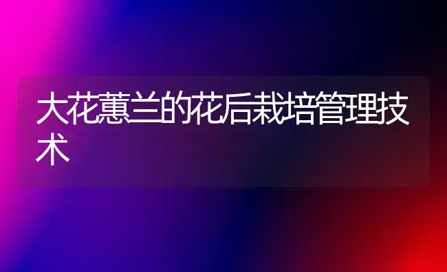 大花蕙兰的花后栽培管理技术 | 植物知识
