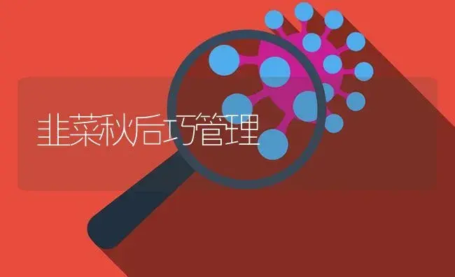 韭菜秋后巧管理 | 植物百科