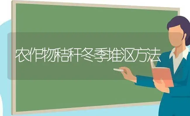 瑞香的养殖方法，瑞香栽培养护技术整理 | 植物科普