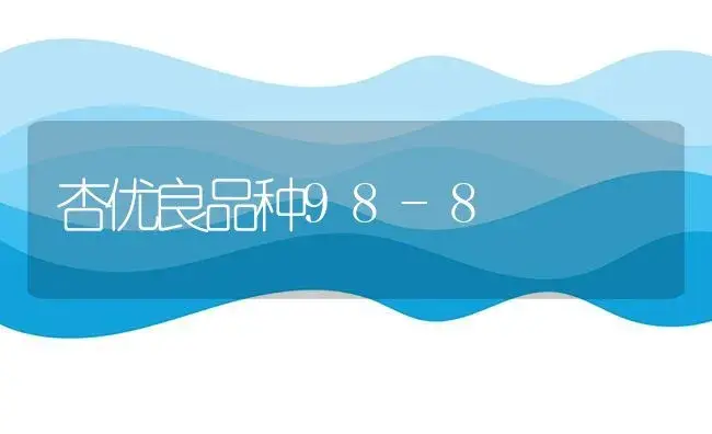 杏优良品种98-8 | 植物科普