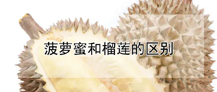 菠萝蜜和榴莲的区别