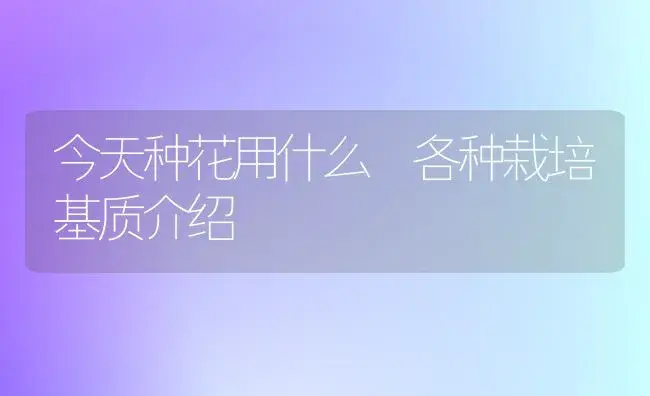 今天种花用什么　各种栽培基质介绍 | 植物知识