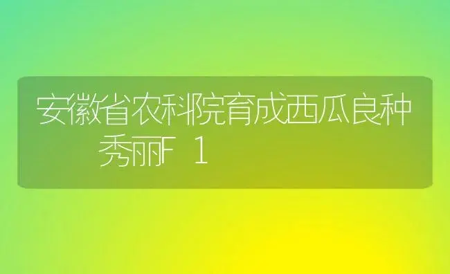 安徽省农科院育成西瓜良种――秀丽F1 | 植物科普