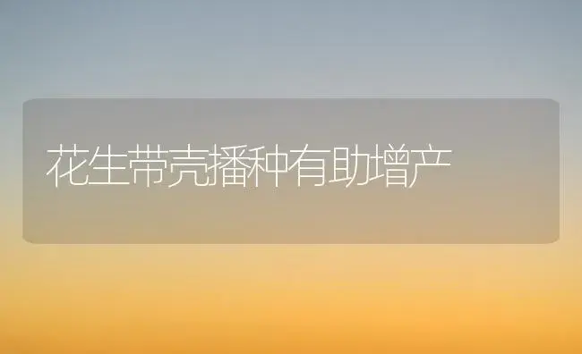 花生带壳播种有助增产 | 植物科普