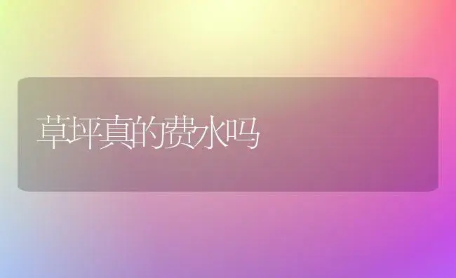 草坪真的费水吗 | 植物知识