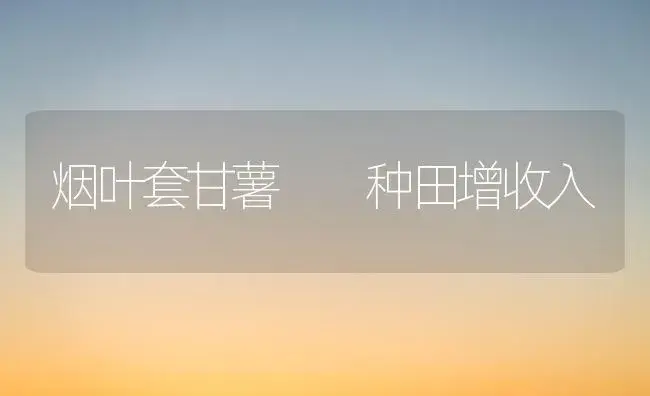 棉花可否施用氯化钾 | 植物科普