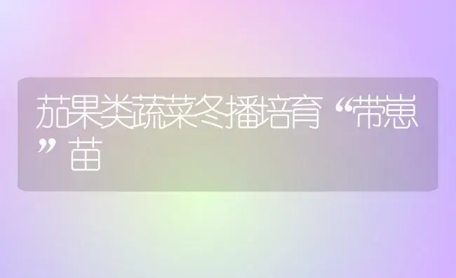 茄果类蔬菜冬播培育“带崽”苗 | 植物科普