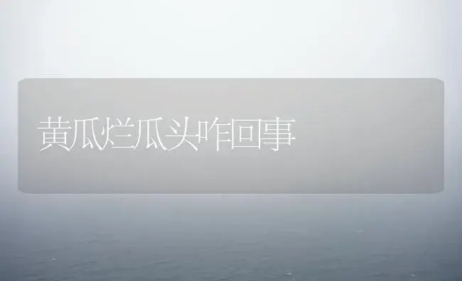 黄瓜烂瓜头咋回事 | 植物科普