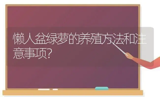 懒人盆绿萝的养殖方法和注意事项？ | 植物问答