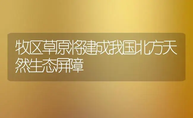 牧区草原将建成我国北方天然生态屏障 | 植物科普