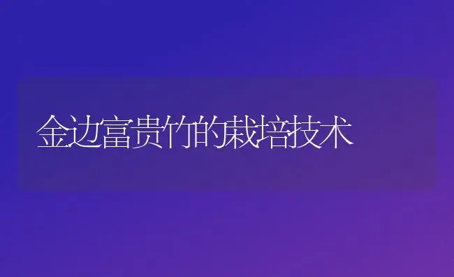金边富贵竹的栽培技术 | 植物知识