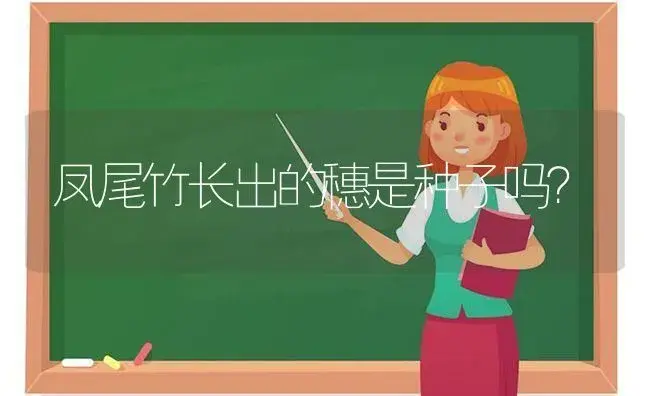 凤尾竹长出的穗是种子吗？ | 植物问答