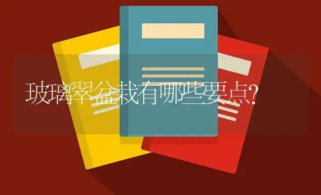 玻璃翠盆栽有哪些要点？ | 植物知识