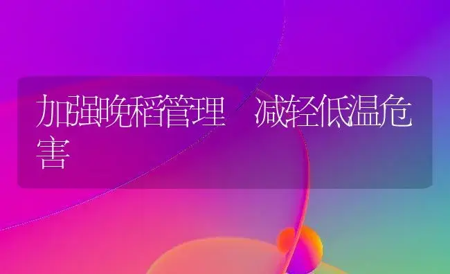 加强晚稻管理 减轻低温危害 | 植物科普