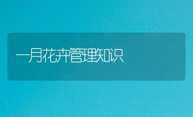 一月花卉管理知识 | 植物知识