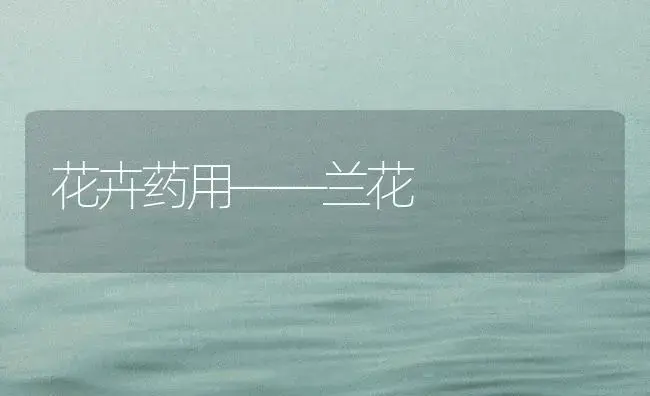 花卉药用――兰花 | 植物知识