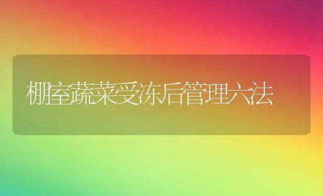 棚室蔬菜受冻后管理六法 | 植物科普