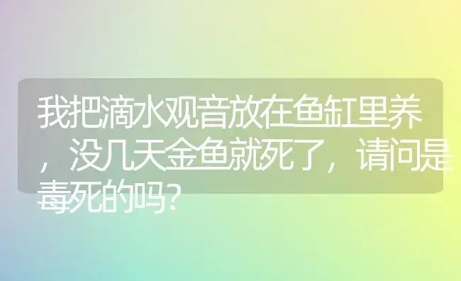 我把滴水观音放在鱼缸里养，没几天金鱼就死了，请问是毒死的吗？ | 植物问答