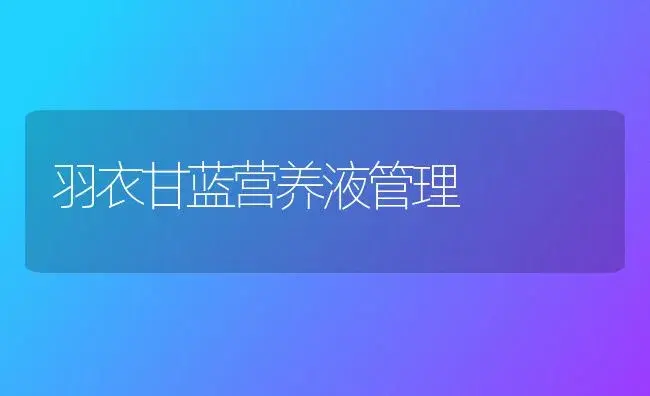 莴笋品种介绍 | 植物科普