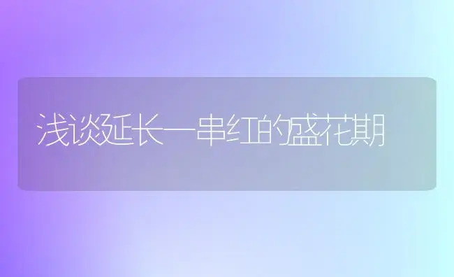 浅谈延长一串红的盛花期 | 植物科普