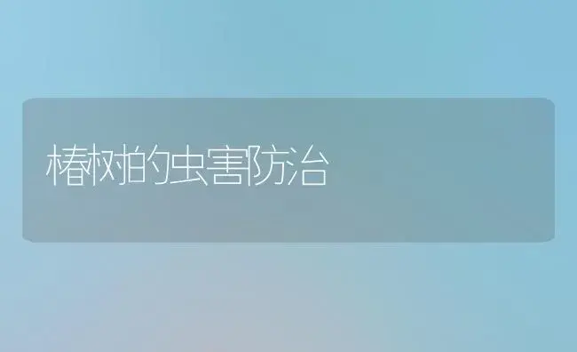 椿树的虫害防治 | 植物知识