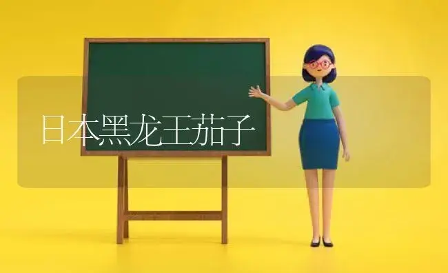 白玉兰幼苗移栽要点 | 植物科普