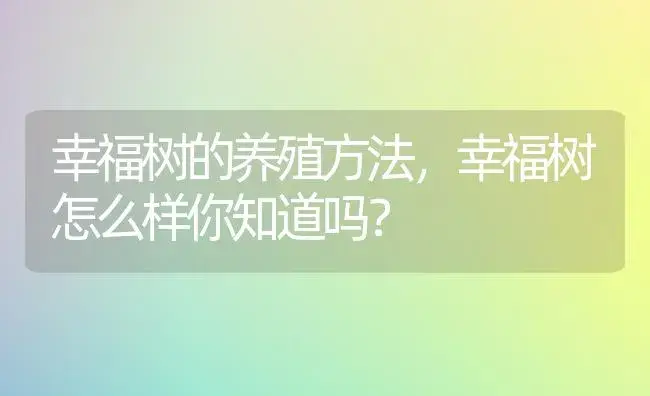 大叶黄杨窄吉丁虫的防治 | 植物知识