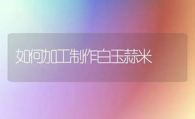 如何加工制作白玉蒜米 | 植物百科