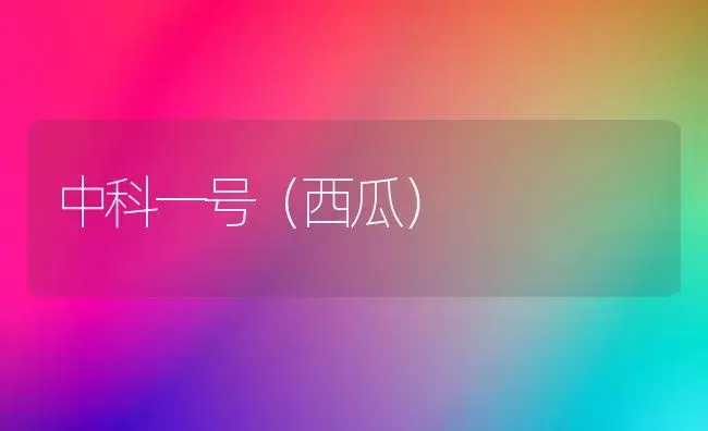 中科一号（西瓜） | 植物科普