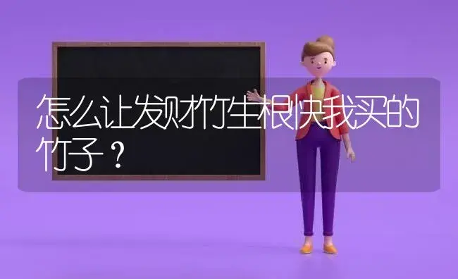 怎么让发财竹生根快我买的竹子？ | 植物问答