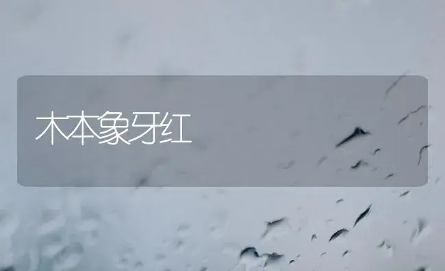 木本象牙红 | 植物知识