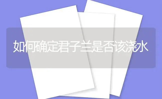 如何确定君子兰是否该浇水 | 植物知识