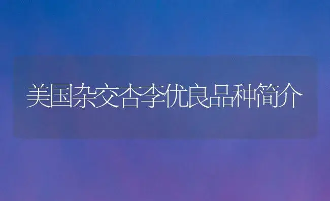 美国杂交杏李优良品种简介 | 植物科普