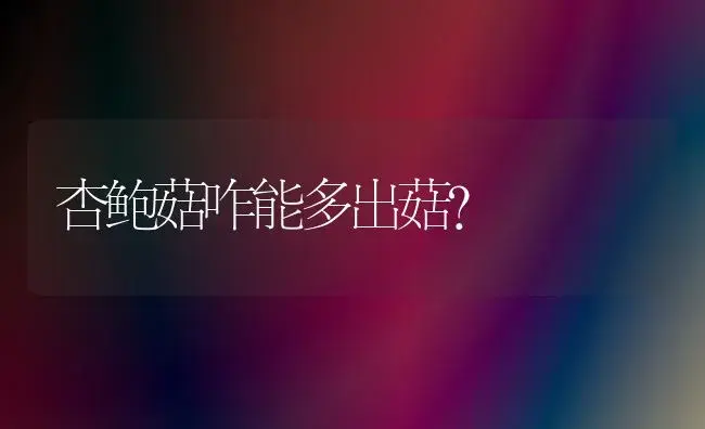 杏鲍菇咋能多出菇？ | 植物科普