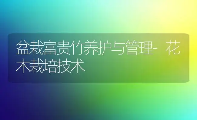 盆栽富贵竹养护与管理-花木栽培技术 | 植物科普