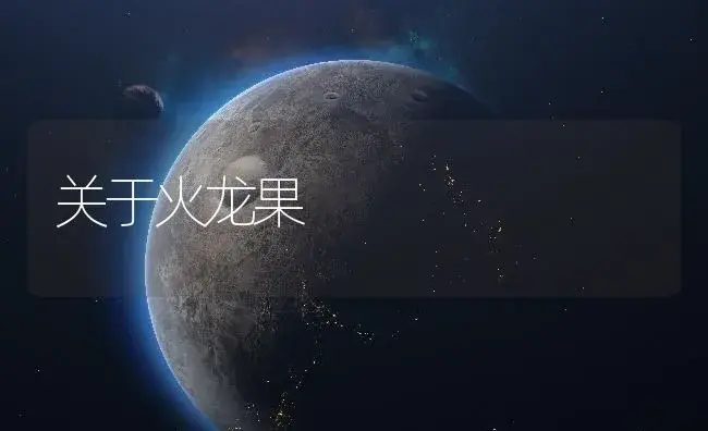 关于火龙果 | 植物百科