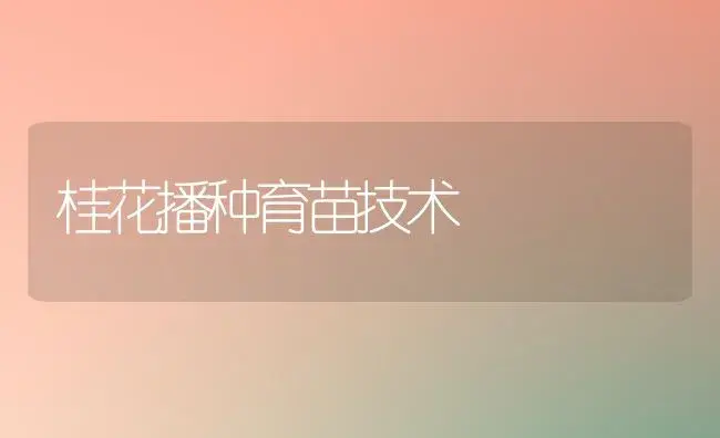 桂花播种育苗技术 | 植物知识