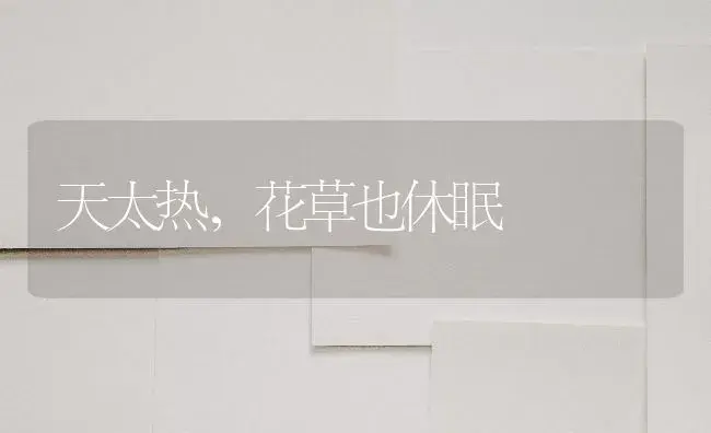 天太热，花草也休眠 | 植物知识