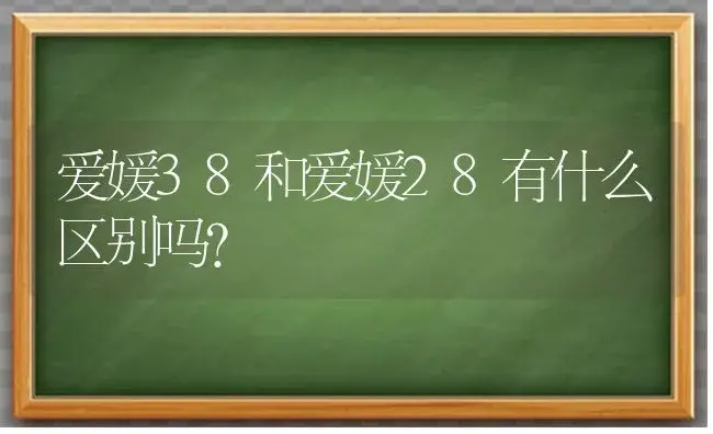 爱媛38和爱媛28有什么区别吗? | 植物百科