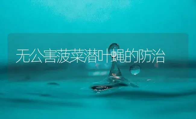 无公害菠菜潜叶蝇的防治 | 植物百科
