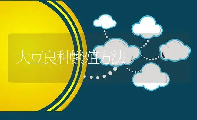 大豆良种繁殖方法 | 植物资料