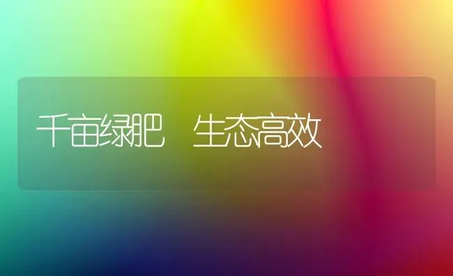 如何能培育出高品质丽格海棠 | 植物科普