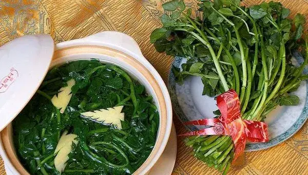 豆瓣菜是什么种出来的 豆瓣菜能在旱地种植吗