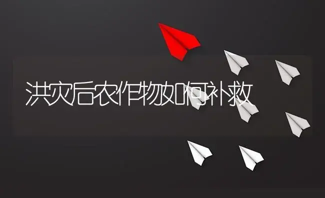 洪灾后农作物如何补救 | 植物资料