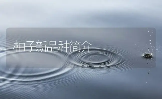 柚子新品种简介 | 植物百科