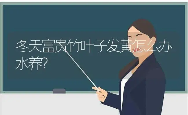 冬天富贵竹叶子发黄怎么办水养？ | 植物问答