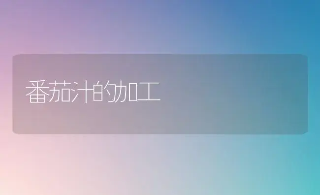 番茄汁的加工 | 植物百科