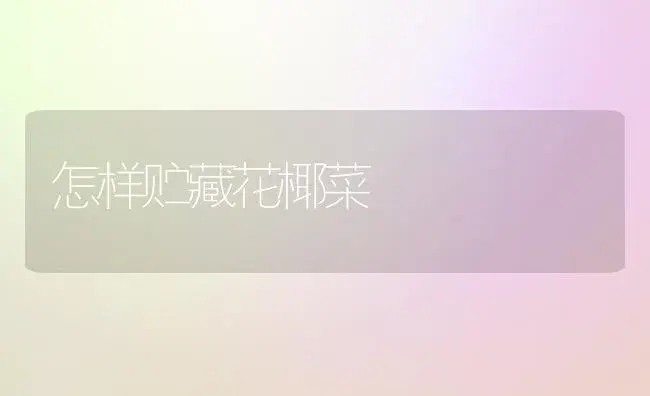 怎样贮藏花椰菜 | 植物百科