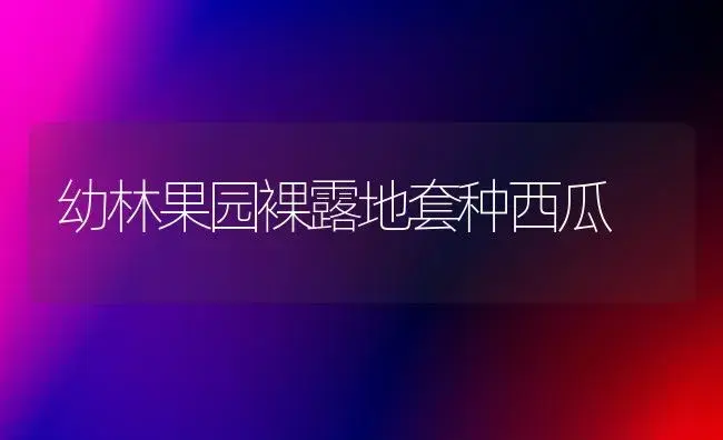 幼林果园裸露地套种西瓜 | 植物科普