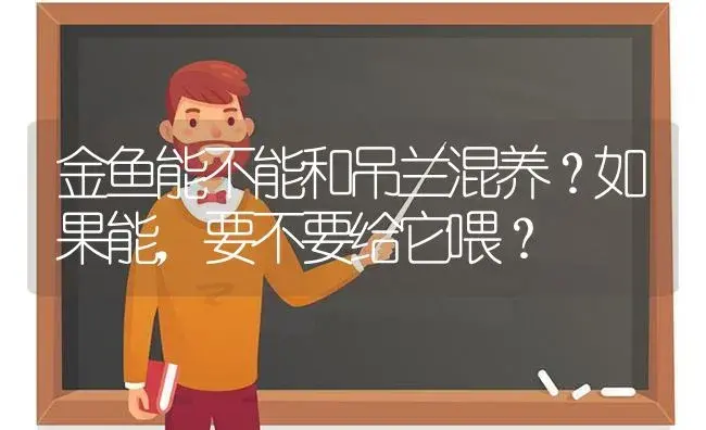 金鱼能不能和吊兰混养？如果能，要不要给它喂？ | 植物问答